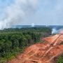 WALHI Catat 8.324 Titik Panas di Papua, Ribuan Berada di Kawasan Proyek Besar