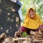 Ketika yang Tumbuh Bukan Cuma Usaha, PNM Hadirkan Dampak Lebih Luas bagi Nasabah