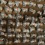 Gerebek Apartemen Springwood Tangerang, Polisi Temukan Setengah Kilogram Lebih Tembakau Sintetis!