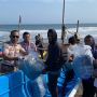 Dua Koper Bikin Curiga! Petugas YIA Gagalkan Penyelundupan Ribuan Benih Lobster ke Batam