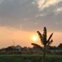 Krisis Air dan Udara Panas di Cimahi: Cerita dari Lapang Rumput yang Hilang