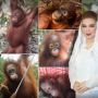 Istri Rudy Mas'ud Pamer Adopsi Orangutan Baimah, Publik Diajak Ikut Melindungi Satwa