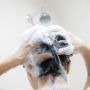 4 Rekomendasi Shampoo Tea Tree Oil, Kulit Kepala Bebas Ketombe dan Gatal