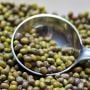 Kacang Hijau: Penyelamat Sawah Saat Kemarau dan Jalan Rezeki Tak Terduga