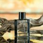 Hangat, Maskulin, dan Berkelas: 5 Parfum Aroma Spicy Woody yang Wajib Coba