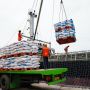 Jelang Musim Tanam, Produksi Petrokimia Capai 6,59 Juta Ton hingga September