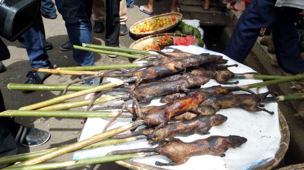 Ada Kelelawar Kuah Santan 5 Kuliner Ekstrem Terlaris Di Pasar Tomohon