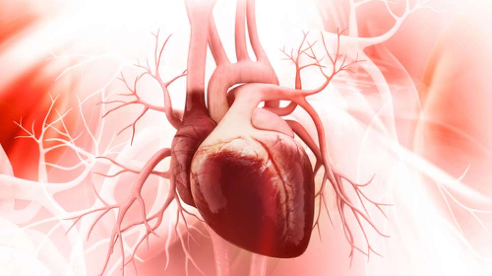 Berapa Banyak Jumlah Ring Jantung yang Boleh Dipasang di Tubuh?