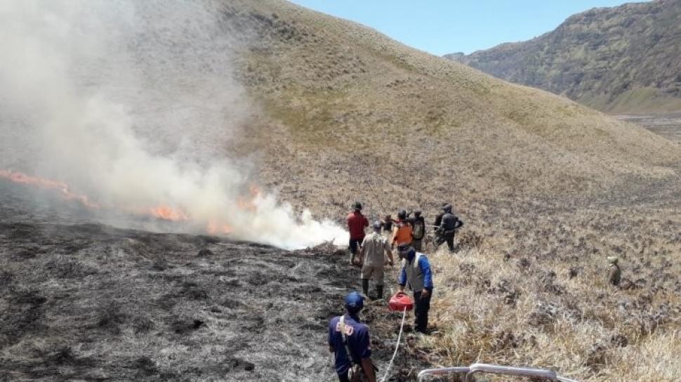 Sabana Gunung Bromo Kebakaran, Tempat Wisata Sempat Ditutup - Suara.com