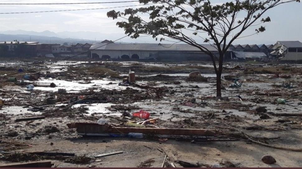 2 Penyebab Terjadinya Tsunami Di Palu Dan Donggala Menurut Bnpb