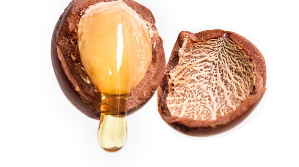 Minyak Argan Bikin Rambut Sehat Berkilau Ini 5 Cara Penggunaannya