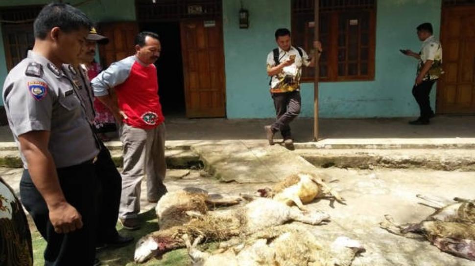 Teror Macan Gunung Lawu Gegerkan Warga Karanganyar