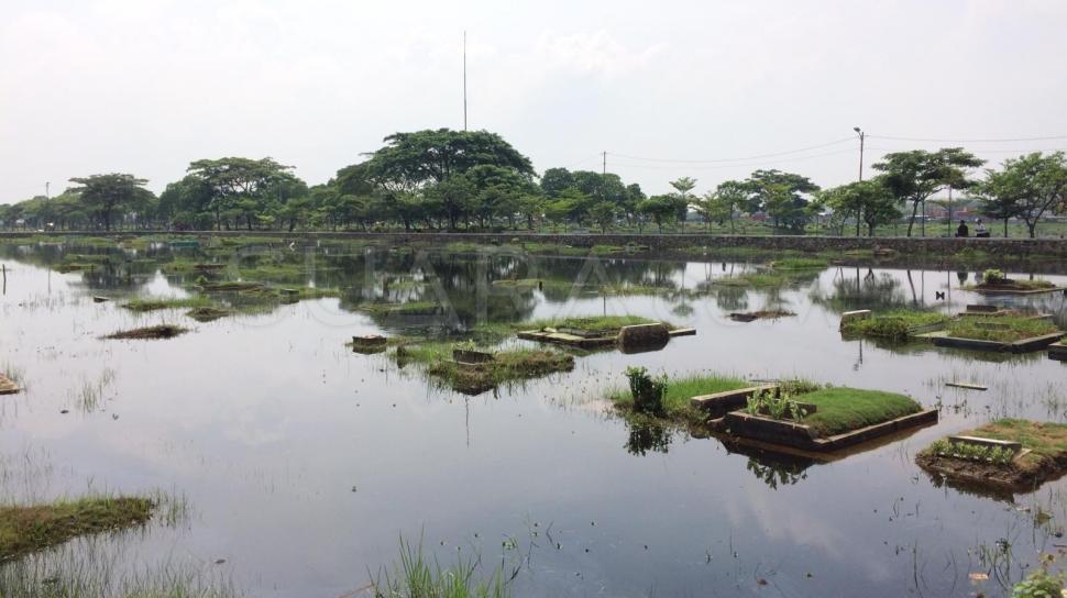 Kerap Banjir, TPU Semper Disulap Warga Jadi Pemancingan Ikan