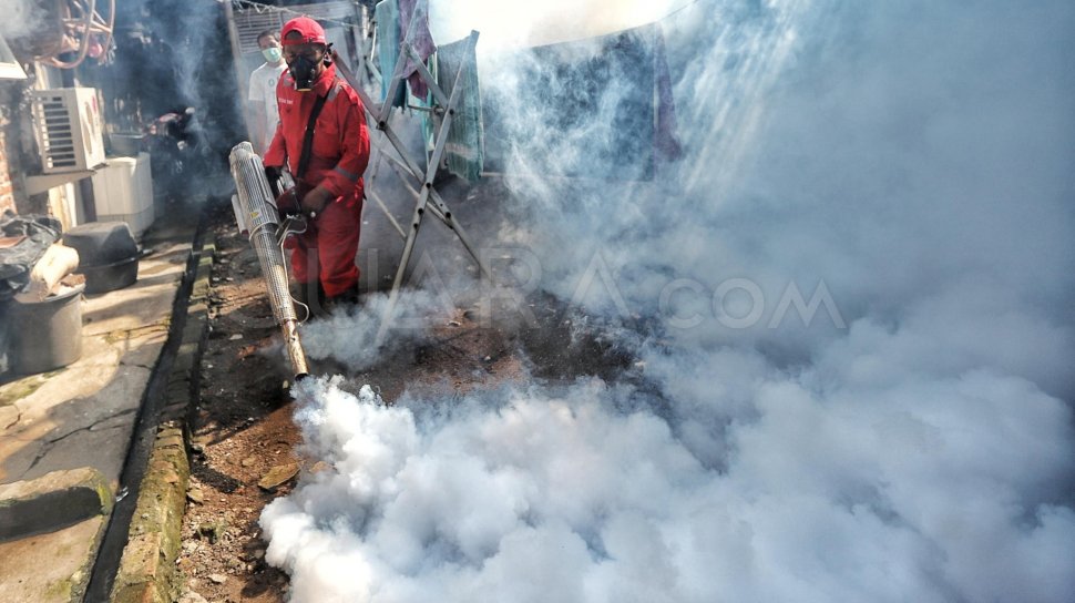 30 DHF Cases were Recorded in Pasuruan City from January to March