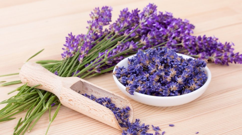 Jarang Diketahui, Ini 4 Manfaat Lavender untuk Kesehatan