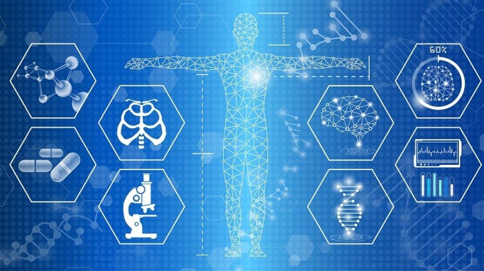 Mengenal Sel T Bagian Sistem Imun Yang Bisa Tangkal Virus Corona