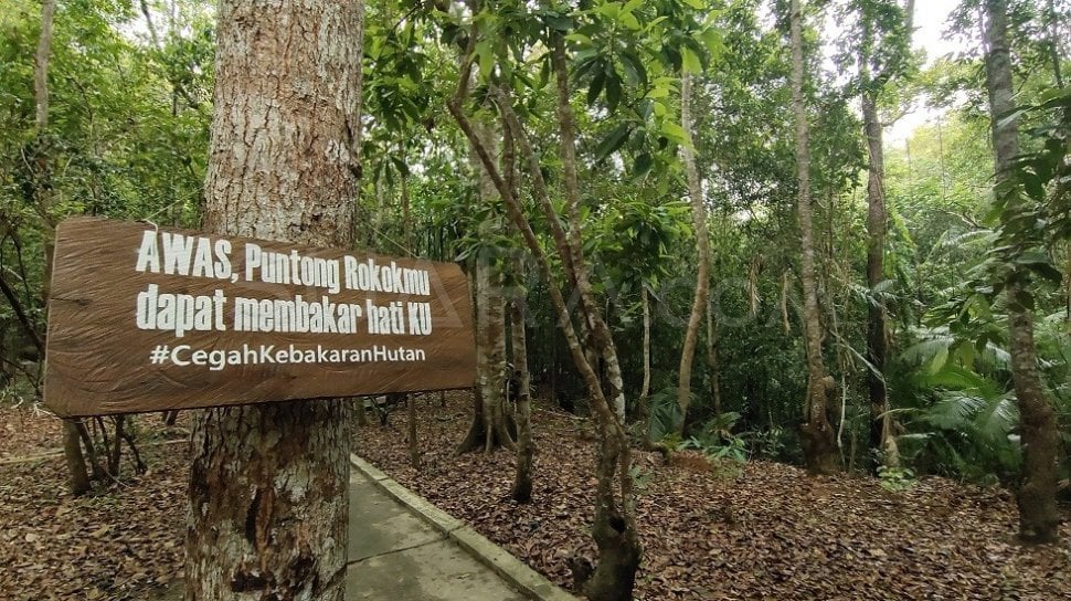 Delegasi G20 Akan Ke Bangka Belitung, Salah Satunya ke Hutan Konservasi Bukit Peramun