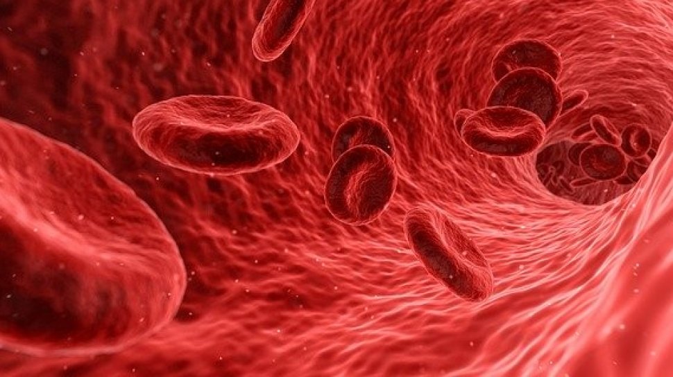 Darah terbesar menyusun darah plasma adalah protein yang 10. Bagian