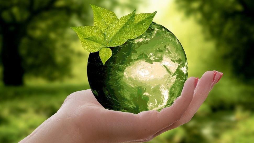 Hari Lingkungan Hidup Sedunia, 4 Fakta yang Harus Kamu Ketahui