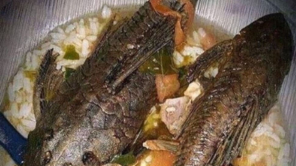 Ngeri Ngeri Sedap Orang Ini Makan Nasi Sayur Pakai Lauk Ikan Sapu Sapu