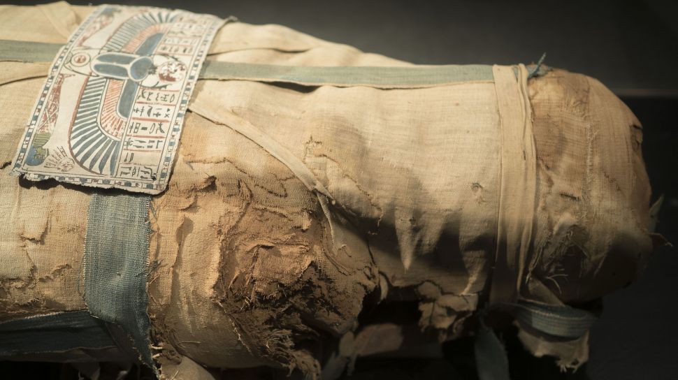 Mengenal Apa Itu Mumifikasi, Diduga Terjadi pada Kasus Jasad Keluarga Kalideres