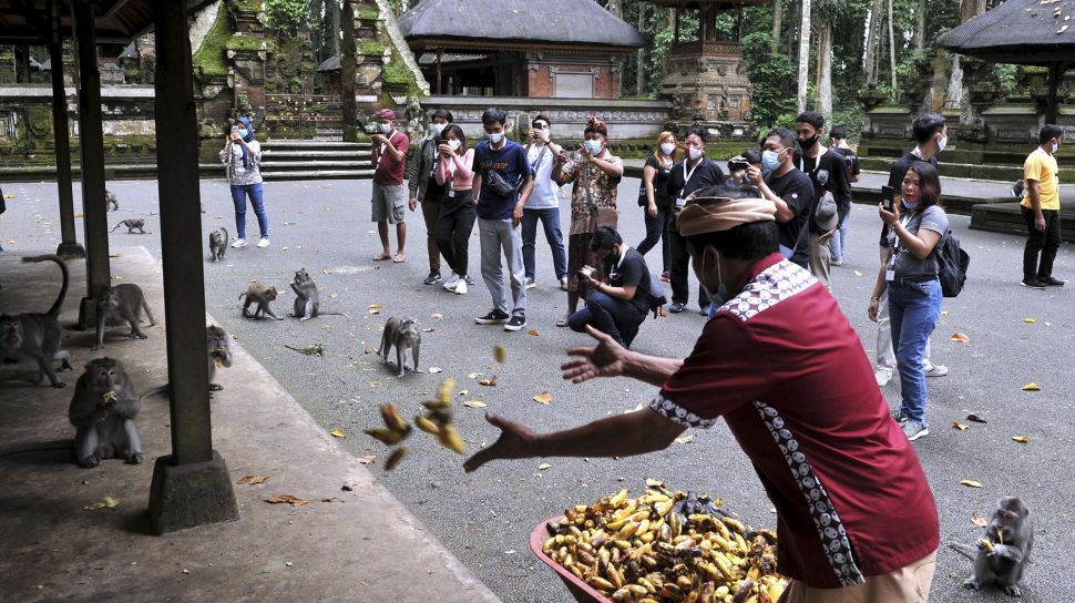 Когда откроют бали. Индеец на Бали. Sangeh Monkey Forest.