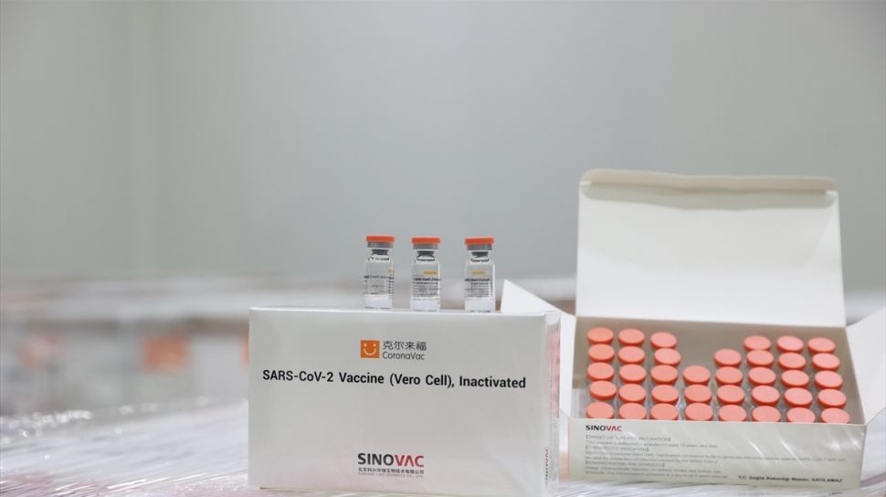BPOM Kepada MUI: Vaksin Covid-19 Sinovac Tidak Mengandung ...