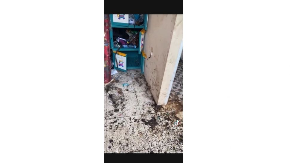 Viral Kamar Kos Penuh Tumpukan Sampah Dan Jadi Sarang Kecoa