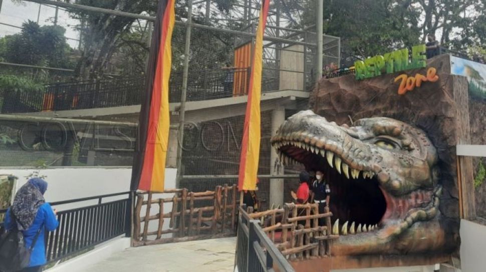 Tiket Masuk Kinantan Zoo Bukittinggi  Perhatian Ada Penghuni Baru Di