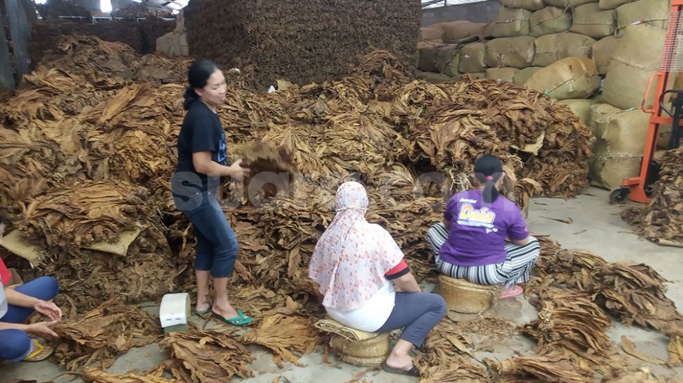 AKRINDO Khawatir RPP Kesehatan Mematikan Mata Pencaharian Pedagang Kecil