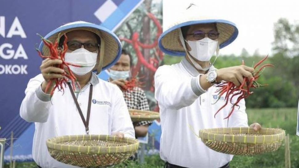 Mantab! Panen Perdana Cabai Merah Pakai Metode Proliga Capai 20 Ton