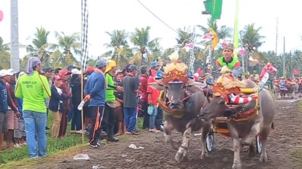 10 Permainan  Tradisional  Bali  Kuno Sudah Jarang Dimainkan 