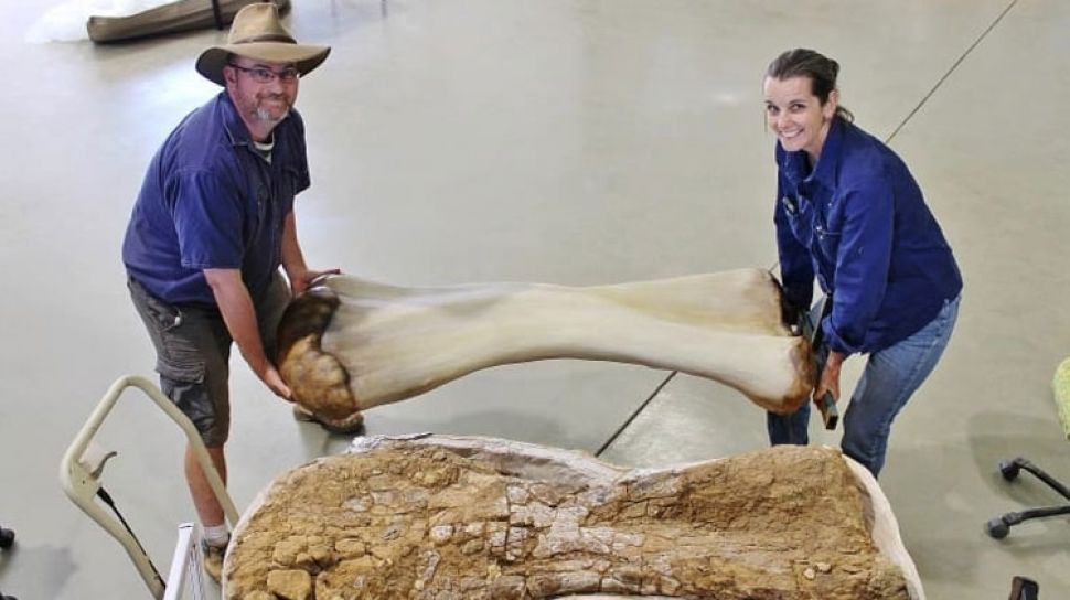 Dinosaurus Setinggi Gedung 2 Lantai Ditemukan Di Australia Suara Lampung
