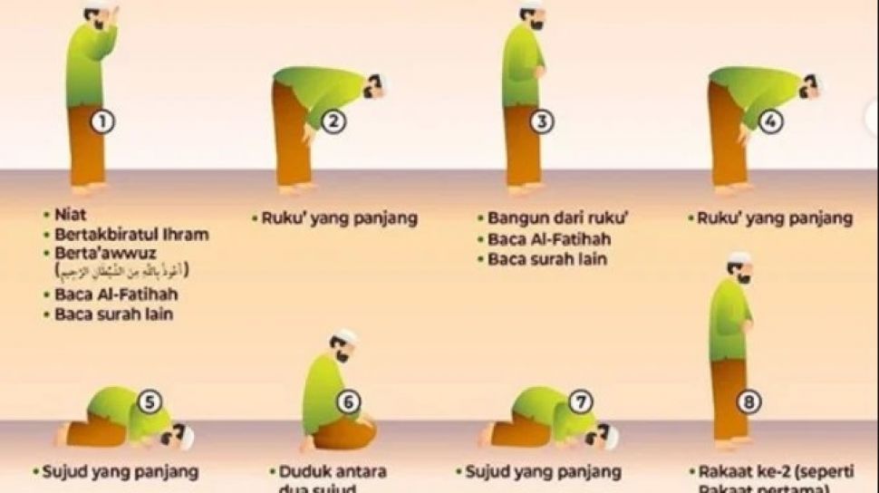 Harga Susu High Protein