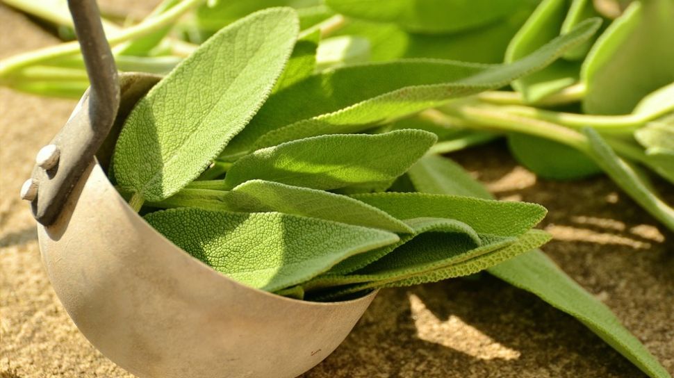 Control Type 2 Diabetes and Cholesterol, Try This Natural Herb!