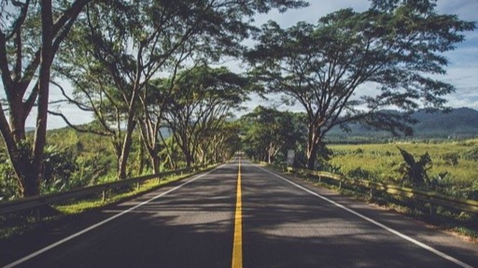 Sepanjang Jalan Lurus yang Kulewati