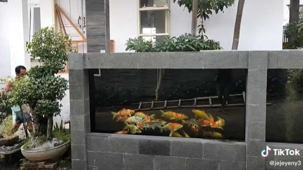 Viral Penampakan Pagar Rumah dari Kolam Ikan Koi, Publik: Kreatif Banget