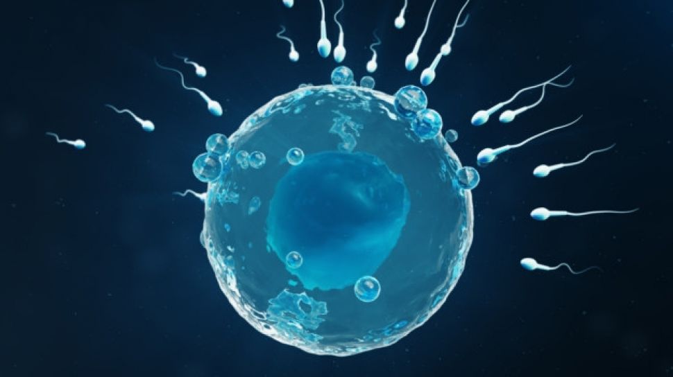 Dokter Boyke Ungkap Ciri Sperma yang Bakal Bikin Pasutri Hasilkan Anak Perempuan