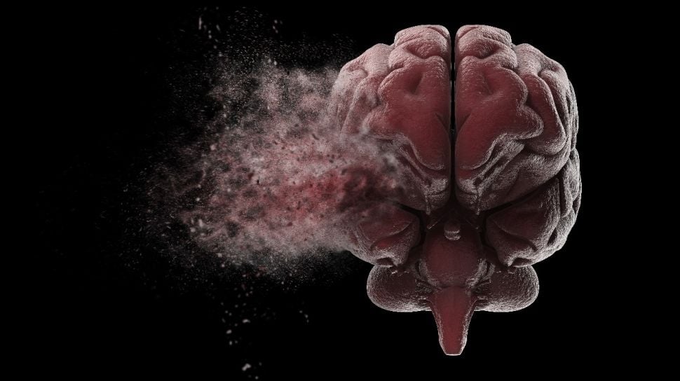 Begini Fungsi Otak Dalam Tubuh Manusia Dan Cara Menjaganya Agar Tetap