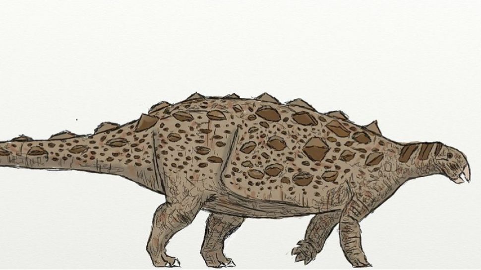 Strange Dinosaur Species Found, Has a Body Like Armor