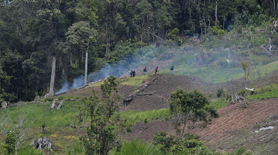 Pendaki melintasi ladang ilegal di kawasan Taman Nasional Kerinci Seblat (TNKS) yang terpantau dari Giri Mulyo, Kayu Aro, Kerinci, Jambi, Sabtu (27/11/2021). [ANTARA FOTO/Wahdi Septiawan]