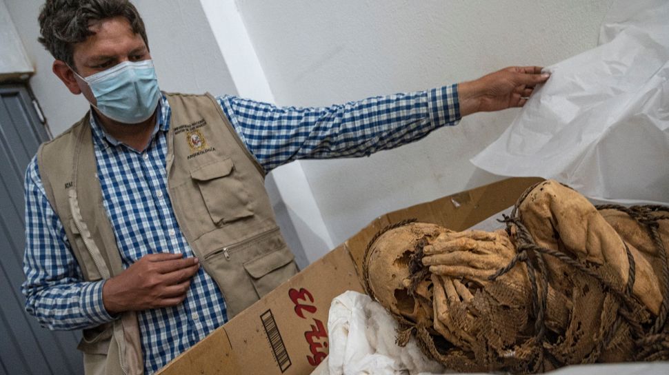 Arkeolog menunjukan mumi berusia antara 800 hingga 1.200 tahun, Peru, Selasa (30/11).  [AFP Photo]