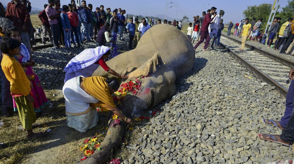 Penduduk desa memberikan penghormatan kepada salah satu dari dua gajah yang mati setelah bertabrakan dengan kereta api di Morigaon, Assam, India, pada (1/12/2021). [BIJU BORO / AFP]