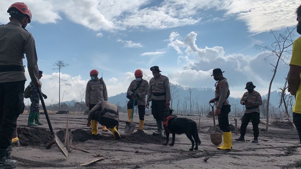 Update Bencana Gunung Semeru, Pencarian Terkendala Mendung, 12 Orang