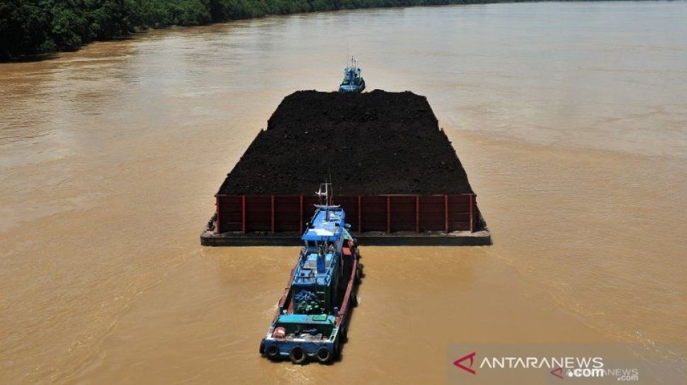 Tunjuk.id - Geger! Disebut-sebut Ratu Batu Bara Di Kalimantan Timur ...