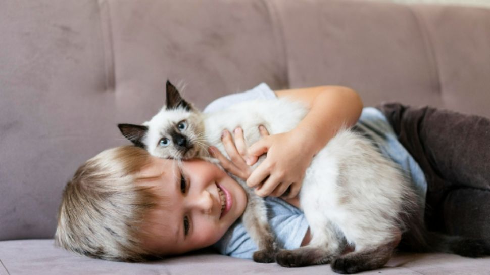 8 Benda yang Berbahaya untuk Kucing, Singkirkan Agar Anabul Kesayangan Tetap Aman