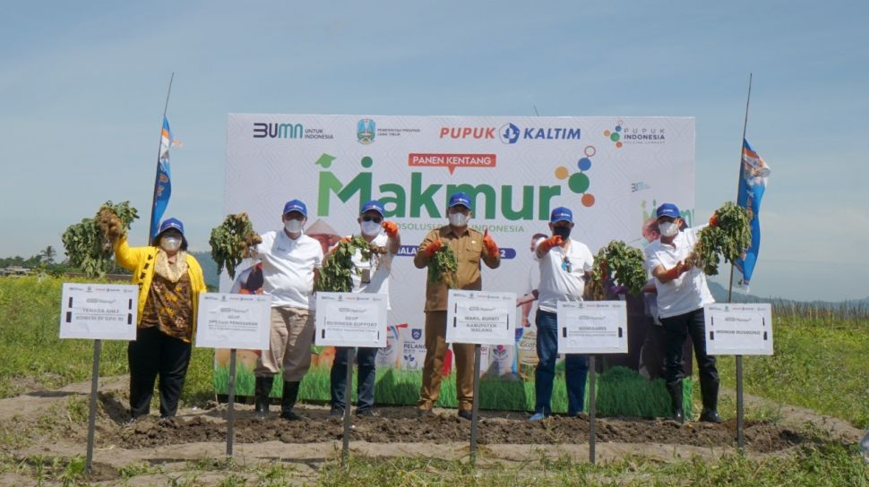 Program Makmur Pupuk Kaltim Tingkatkan Produktivitas Kentang Di Malang ...