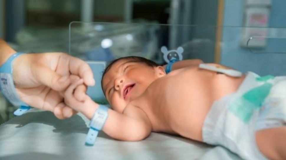Cara Daftar Bpjs Kesehatan Untuk Bayi Baru Lahir Simak Syarat Syaratnya Berikut