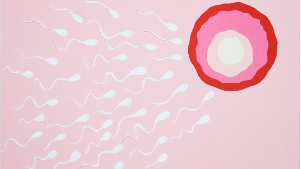 Sering Pakai Sarung Bikin Jumlah Sperma Jadi Banyak dan Sehat? Kata Dokter Begini