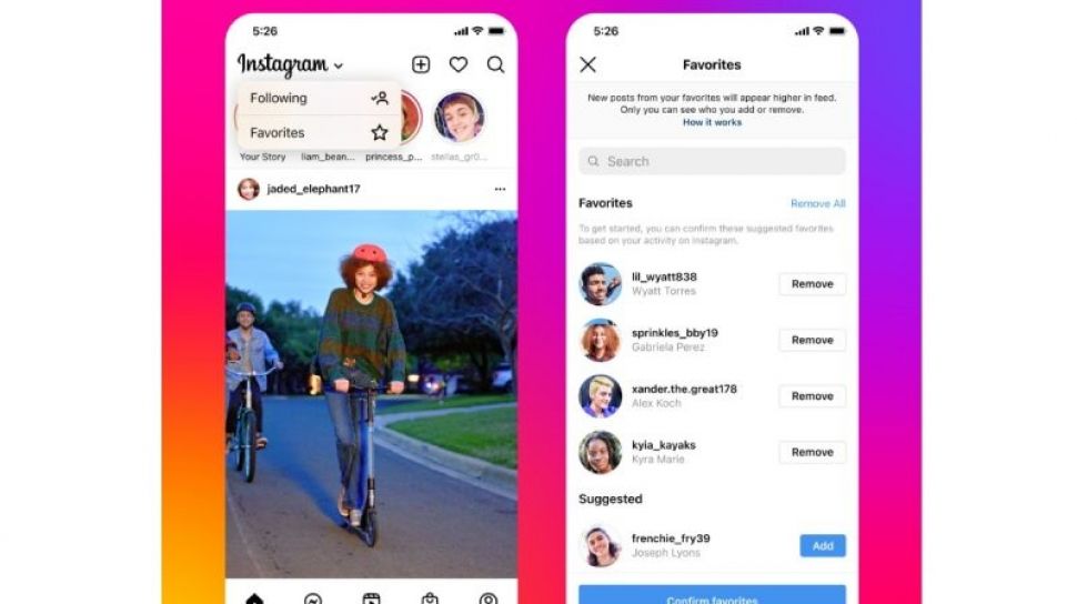 Instagram Update Features in Feed